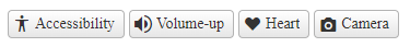 "Custom Icon Class"