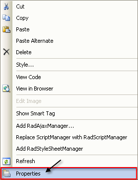 RadDateInput Properties
