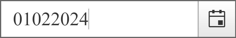 How it looks like when a date is typed