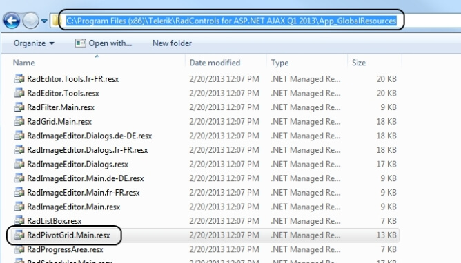 pivotgrid-logalization-global-resources 1