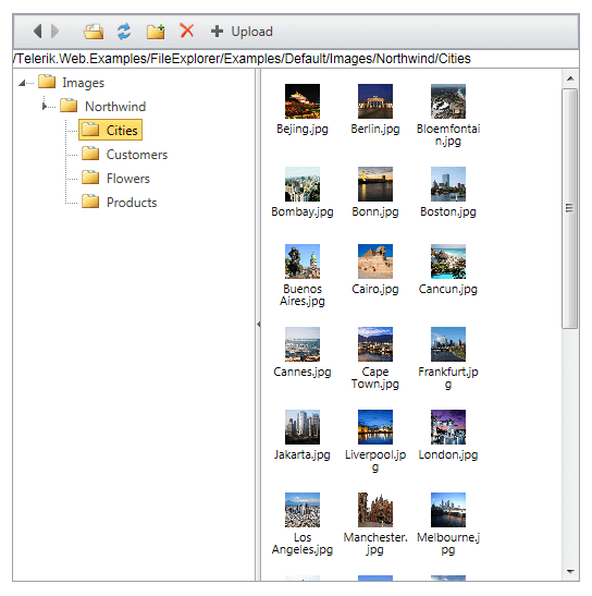 radfileexplorer-thumbnails-mode-preview