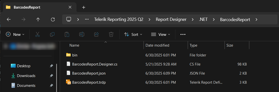The imported .NET Coded Report's automatically created folder with its contents.