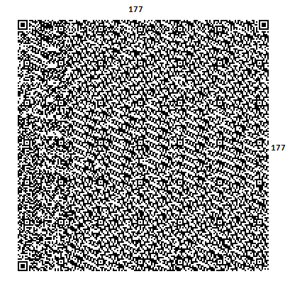 Barcode QR Code version 40