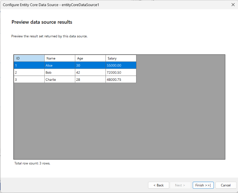 The 'Preview data source results' page of the Entity Framework Core Data Source Wizard in the Standalone Report Designer for .NET.