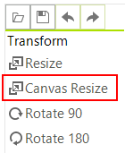 WinForms RadImageEditor Canvas Resize Option