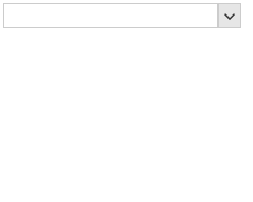 tokens-order-in-checkeddropdownlist 002