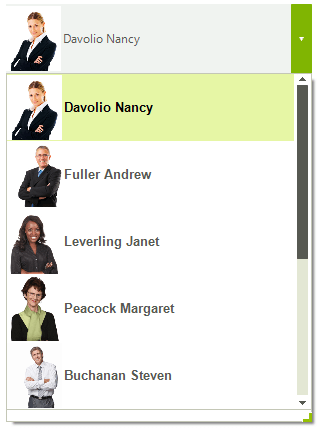 WinForms RadDropDownList SizingMode RightBottom