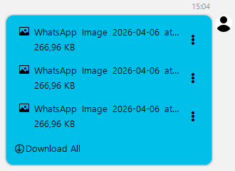 WinForms RadChat Message with Uploaded Files