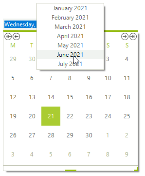 WinForms RadDateTimePicker Popup