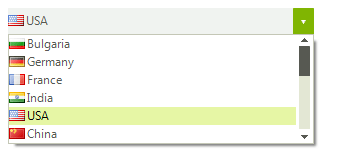 WinForms RadDropDownList DropDownList