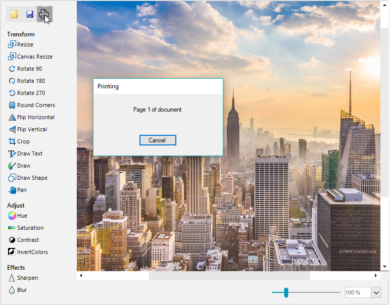 how-to-print-from-radimageeditor001