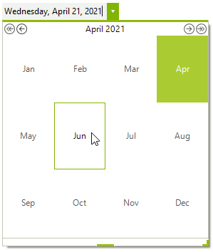 WinForms RadDateTimePicker Zoom