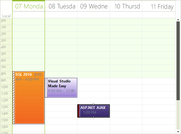 WinForms RadScheduler Work Week View
