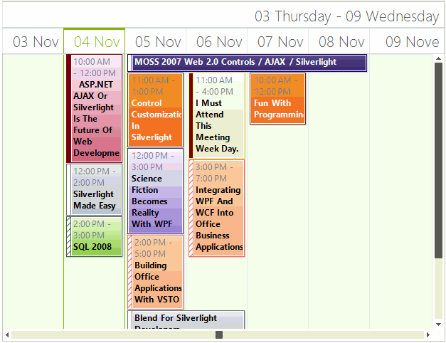 WinForms RadScheduler Timeline View Structure