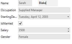 WinForms RadDataEntry Initialized