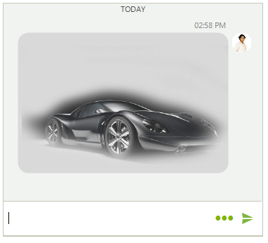 WinForms RadChat Media Message