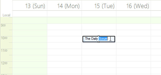 WinForms RadScheduler Inline Editors
