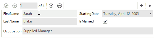 WinForms RadDataLayout Bound to Multiple Objects