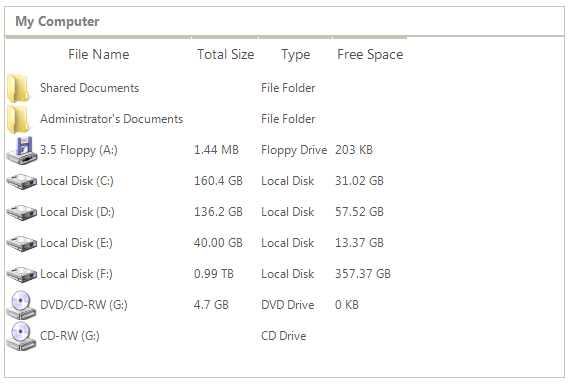 WinForms RadListView Before