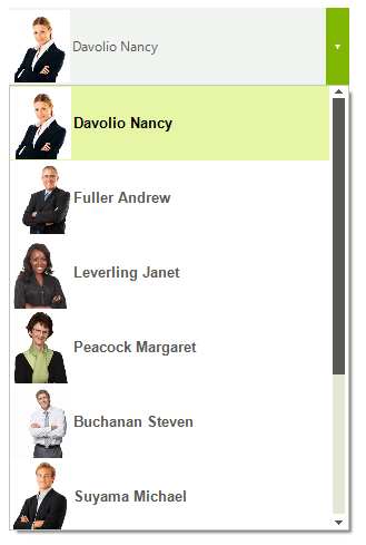 WinForms RadDropDownList DropDownHeight