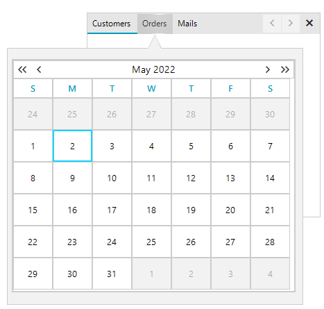 WinForms RadPageView Peek Window Content