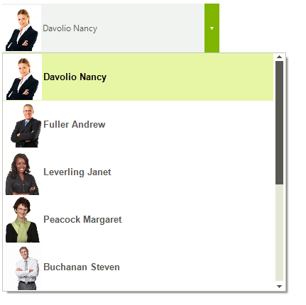 WinForms RadDropDownList DropDownWidth