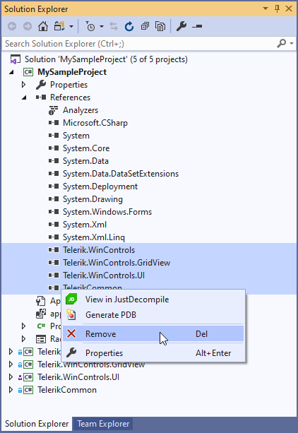 attach-telerik-source-code-to-your-project 005