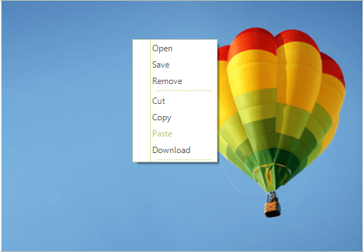 WinForms RadPictureBox Custom ContextMenu