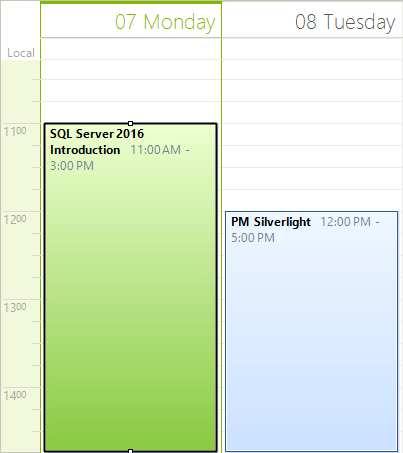 WinForms RadScheduler 4 Hour Time Format