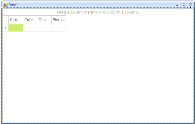 WinForms RadGridView DataSource Property