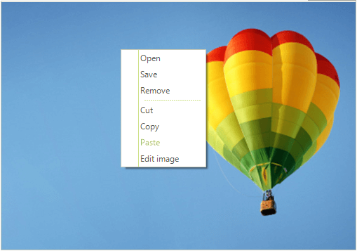 WinForms RadPictureBox Context Menu