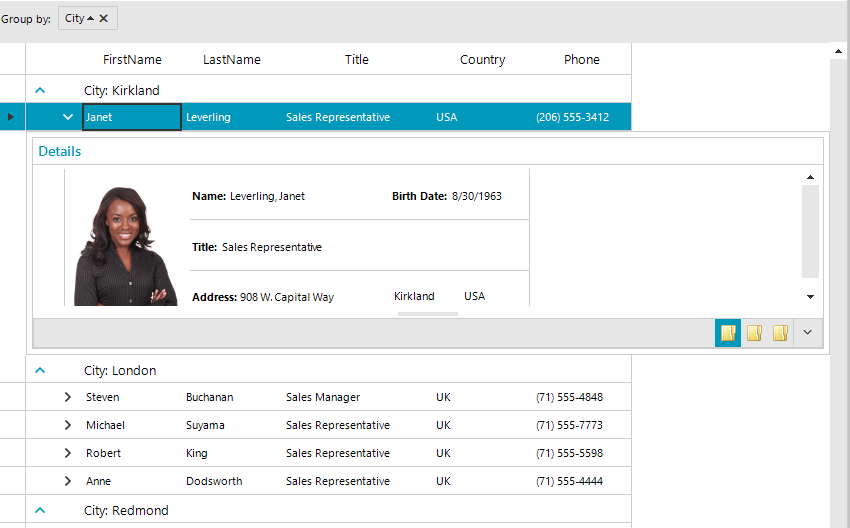 WinForms RadGridView Outlook View Mode