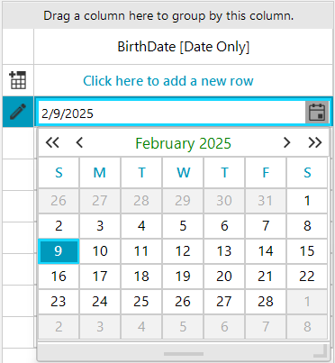 WinForms RadGridView GridViewDateOnlyColumn Editing