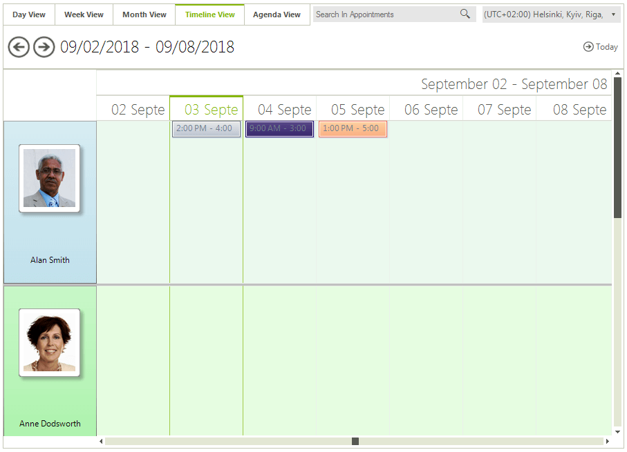 WinForms RadScheduler Timeline View