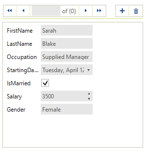 WinForms RadDataEntry Getting Started BindingSource