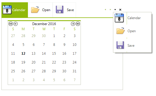 WinForms RadPageView StripViewButtons All