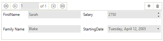 WinForms RadDataLayout Model With Attributes