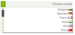 WinForms RadDropDownList RightToLeft Yes