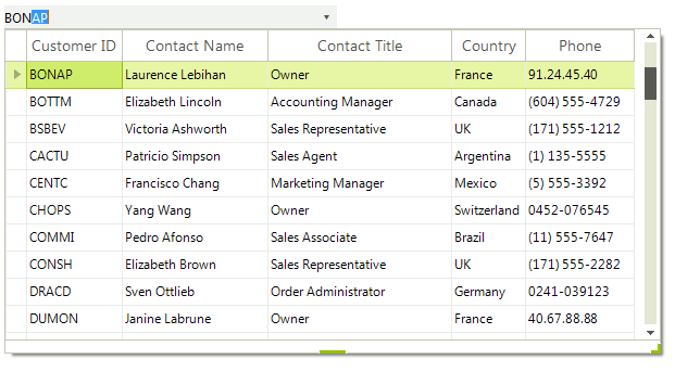 WinForms RadMultiColumnComboBox AutoCompleteModeAppend