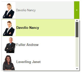 WinForms RadDropDownList DefaultItemsCountInDropDown