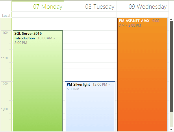 WinForms RadScheduler Ruler Scaling