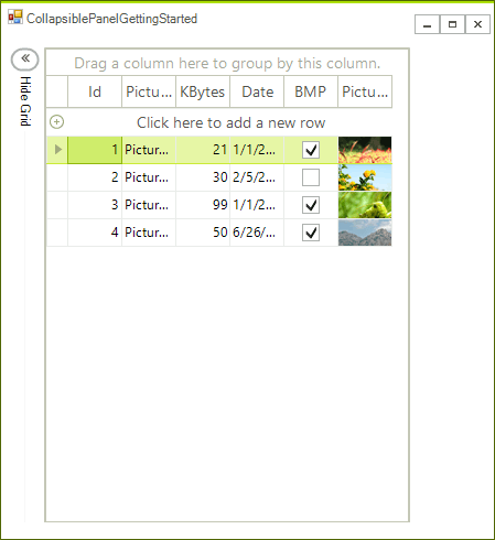 WinForms RadTemplates Expanded Panel
