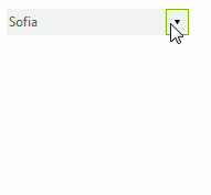 WinForms RadDropDownList Adding User Defined Values