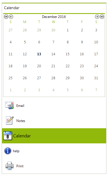 WinForms RadPageView RadPageView in StackView mode with RightToLeft = No