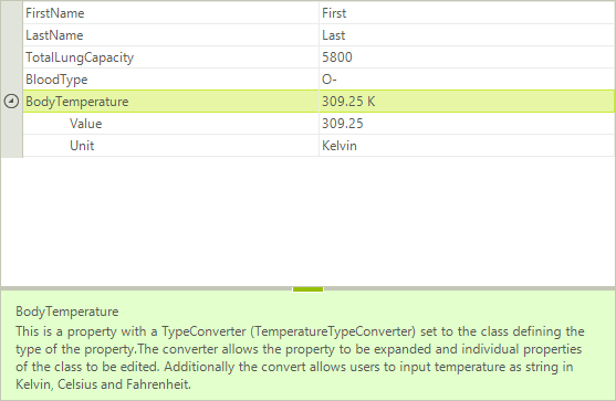 WinForms RadPropertyGrid TypeConverterAttribute
