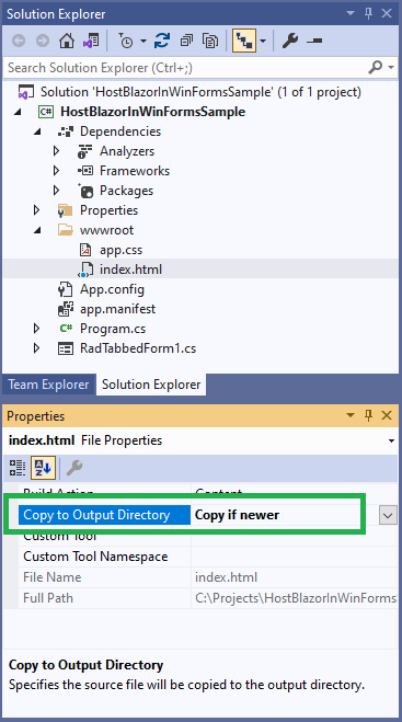 host-blazor-in-winforms012