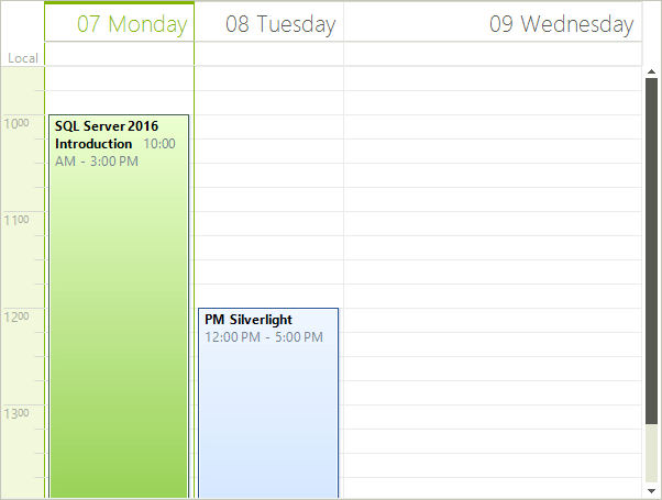 WinForms RadScheduler Column Size
