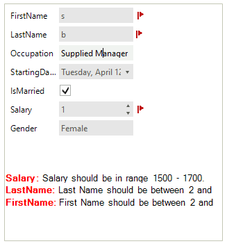 WinForms RadDataEntry Validation Panels Shows the Error Message