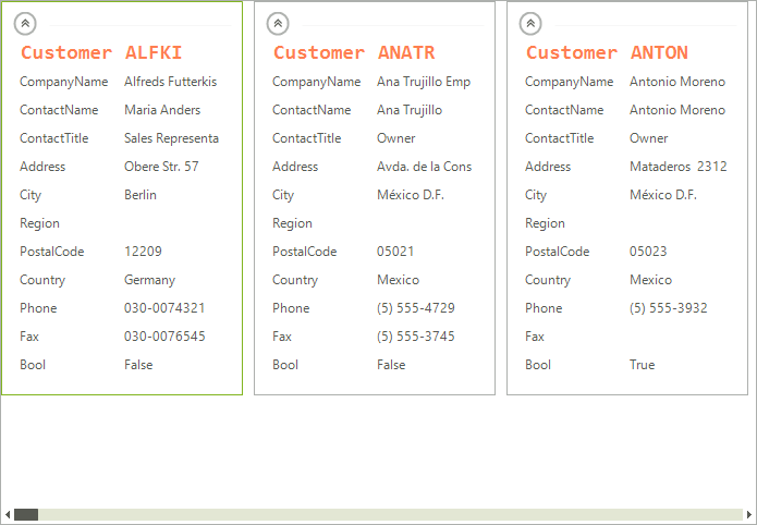 WinForms RadCardView Formatting CardViewItiem