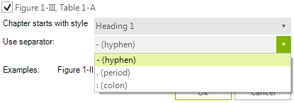 WinForms RadRichTextEditor Include Chapter Number Suggestion Dialog